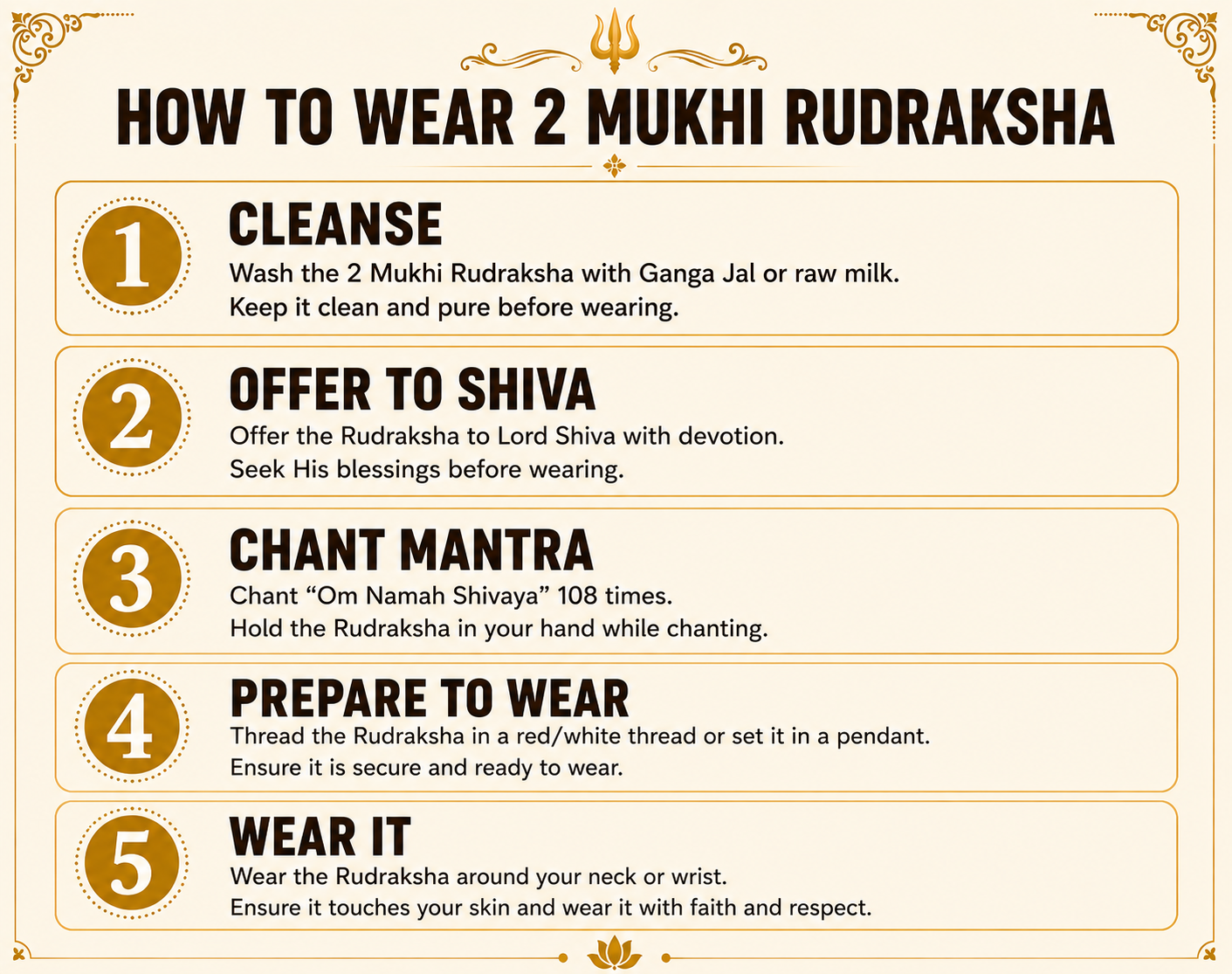 2 Mukhi Rudraksha (Nepal Origin)